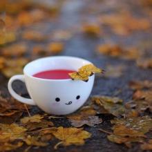 优茶美