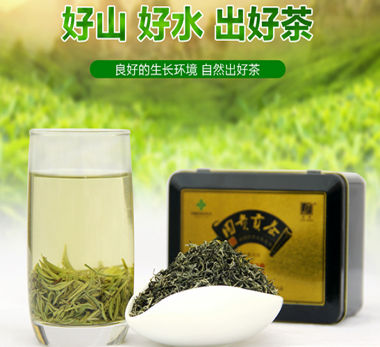 团黄贡茶