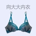 向大大内衣