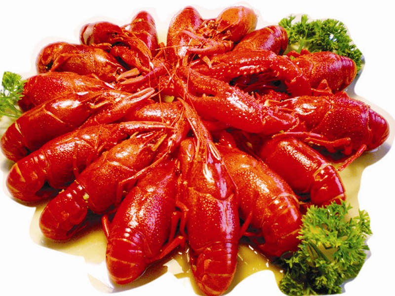 小胖子功夫龙虾