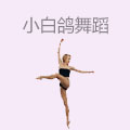 小白鸽舞蹈