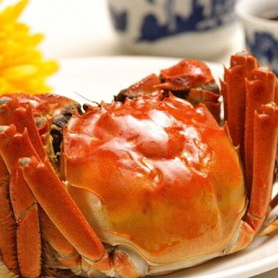 蟹叫叫阳澄湖大闸蟹
