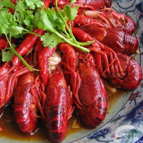 鸿运小龙虾