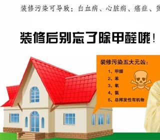青蛙先生除甲醛