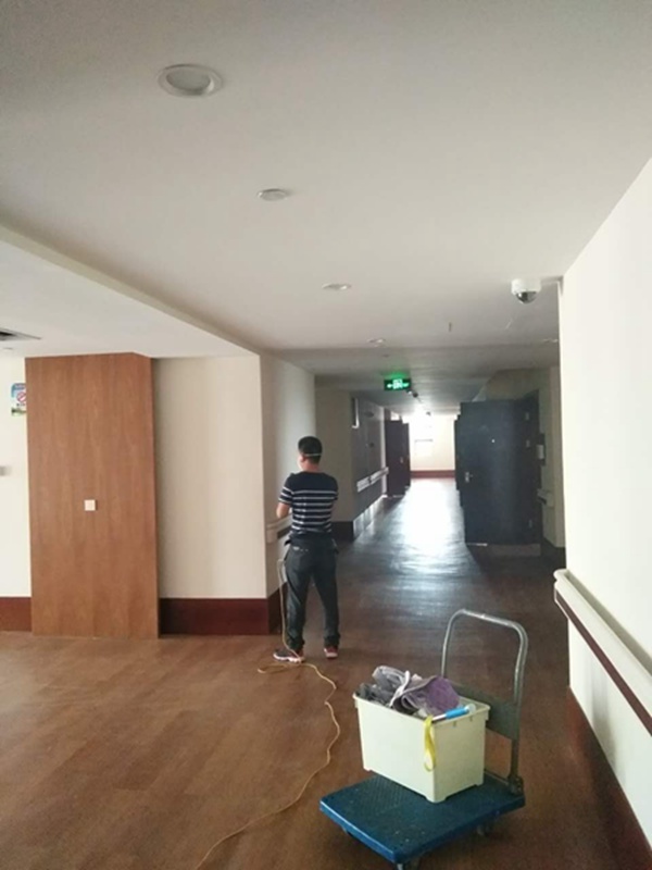 青蛙先生除甲醛