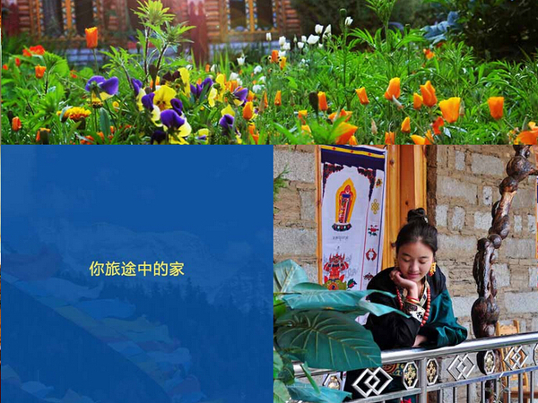 铂涛·旅行