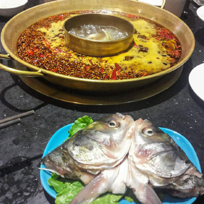 369美蛙鱼头火锅