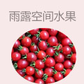 雨露空间水果批发