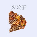 火公子