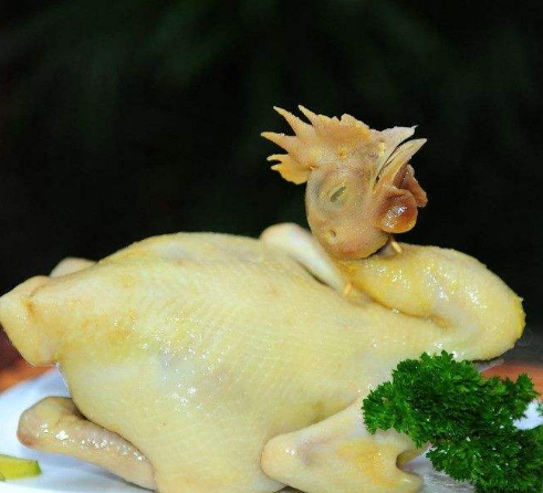 小鸡遇
