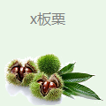 x板栗
