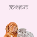 宠物都市
