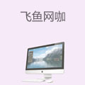 飞鱼网咖