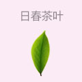日春茶叶