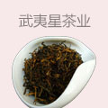 武夷星茶业