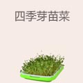 四季芽苗菜