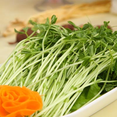 四季芽苗菜