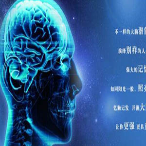 木成林教育
