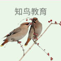知鸟教育