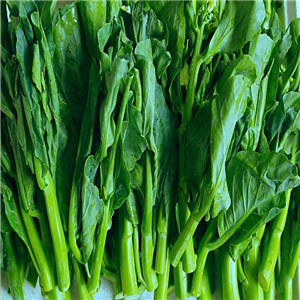 鲜菜到家