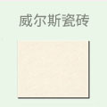 威尔斯瓷砖