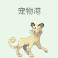 宠物港