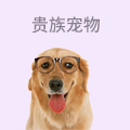 贵族宠物